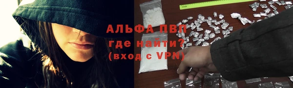 спиды Зеленокумск