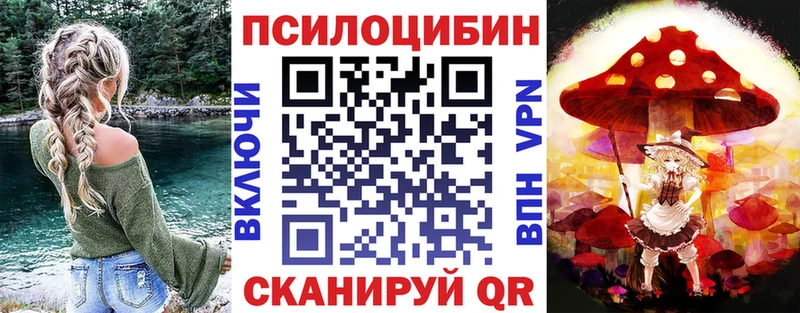 закладка  Кингисепп  Галлюциногенные грибы ЛСД 