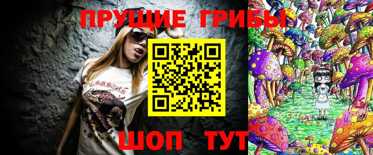 Псилоцибиновые грибы мухоморы  Вход с VPN  Псилоцибиновые грибы Magic Shrooms  Кингисепп 